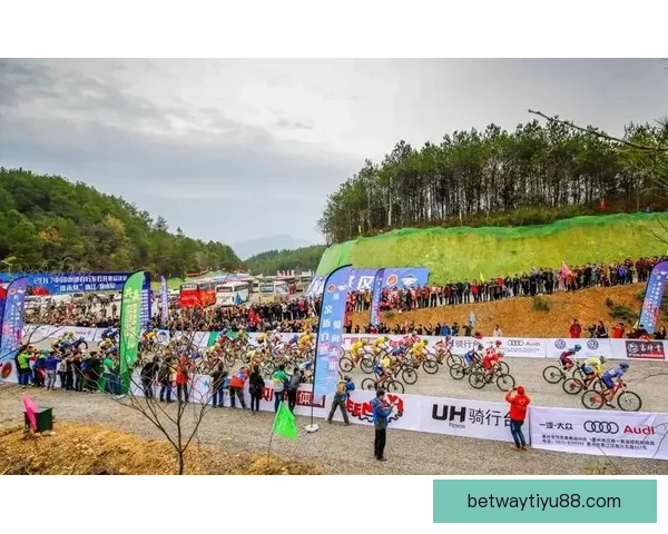 betway体育引领数字娱乐新趋势打造多元化体育互动体验平台